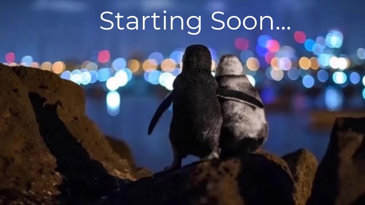 Governor And Senate Predictions: Live at 2:20