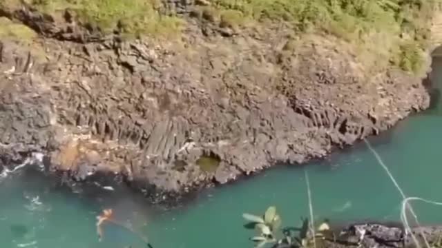 Would you dare to do this?