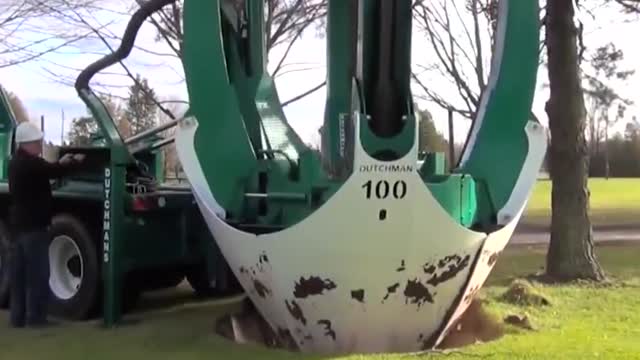 This Machine Moves Trees