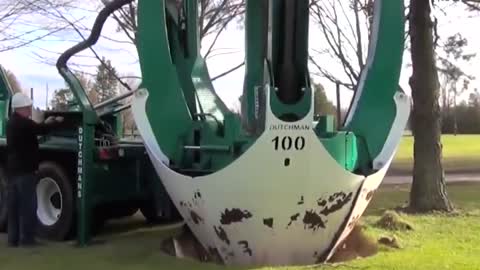 This Machine Moves Trees