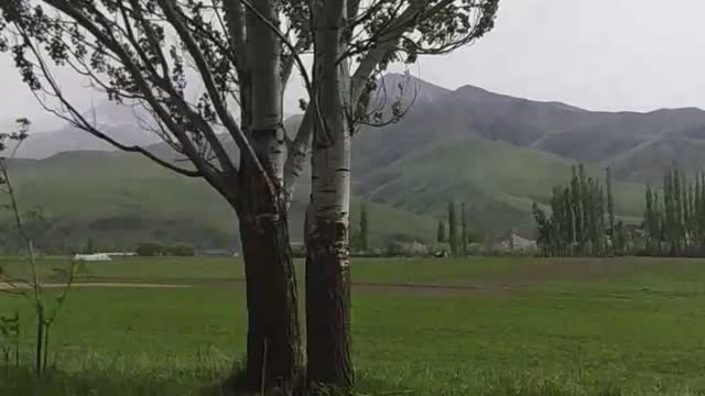 nature in Central Asia is beautiful