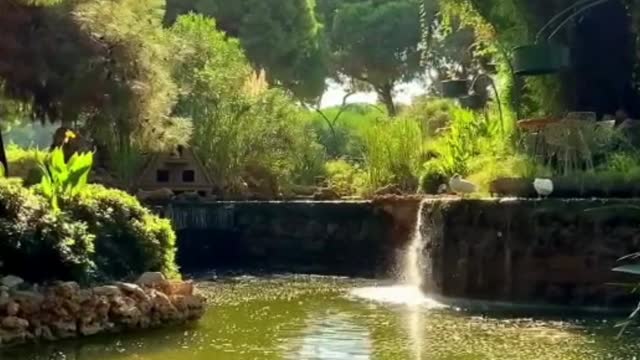Luxury Hotel Green Beautiful Garden #luxuryliving #hotel #luxurylife #superhotel