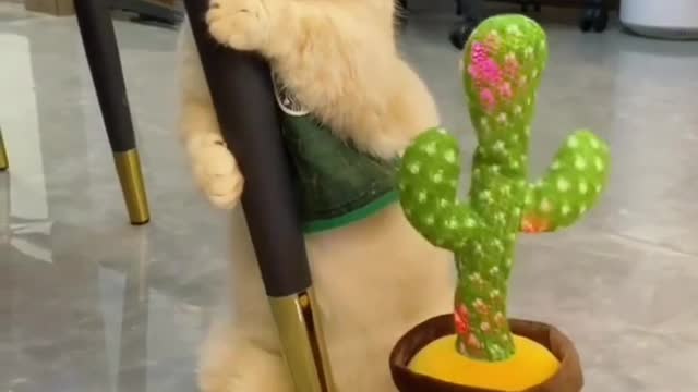 Player flower