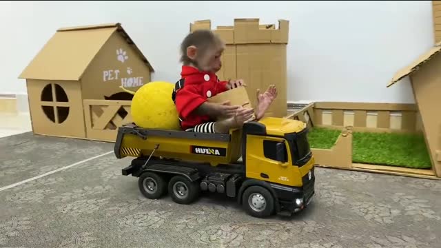 Top comady video