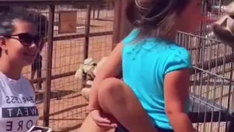 Funniest Baby at the Zoo 🐶😻 Funny Animals Reaction 😇 Try Not To Laugh