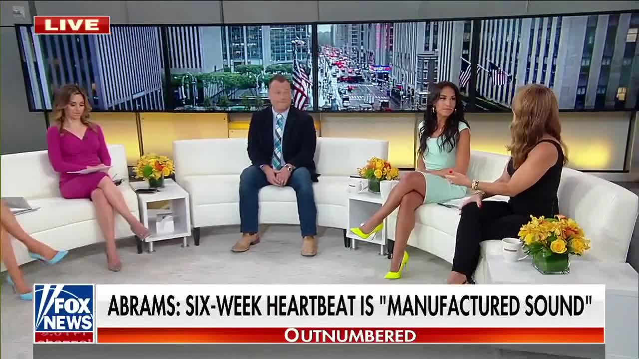 'Flat-Out Lie': Doctor Debunks Stacey Abrams' 'Conspiracy Theory' On Fetal Heartbeats