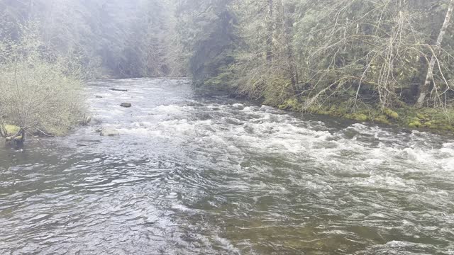 Crystal Clear Pristine Salmon River – Mount Hood – 4K