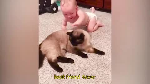 Baby VS Cat funny video_ part-4_(720HD).mp4