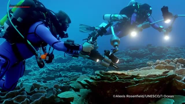 3 km coral reefs discovered at unusual depths off the coast of Tahiti, French Po