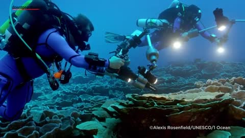 3 km coral reefs discovered at unusual depths off the coast of Tahiti, French Po