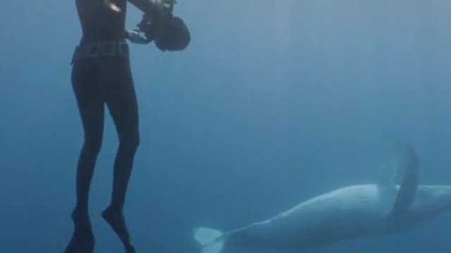 When the baby whale comes by and you want them to be comfortable