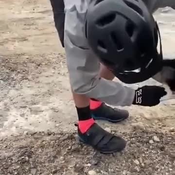 Dog with Bottle Stuck on Head Rescued