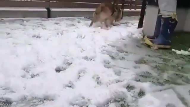 first snow⠀ 📹😂😂