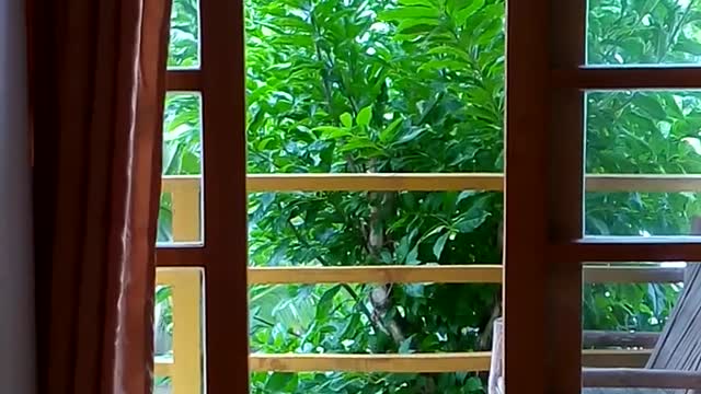 Tauhai room