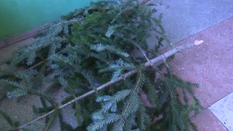 Коммунальные службы Сухуми подвели итоги работы в праздничные дни