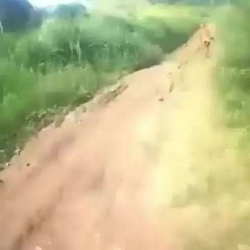 The Lost Alien on the Indonesian