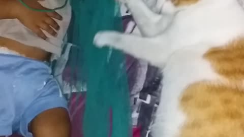 Cat Vs Baby