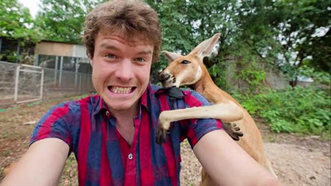 Laugh all day These Funny ANIMAL Videos. 😃. New funny Animal Videos 2024. 