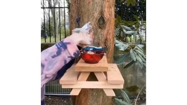 SQUIRREL PICNIC TABLE .