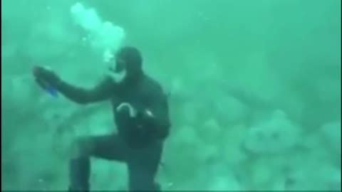 A very lucky diver