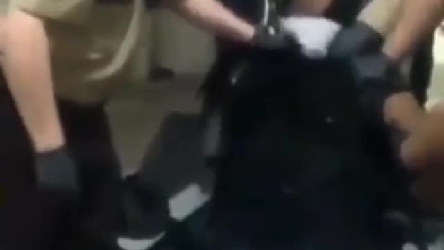 The Crimes Of The Gang In Blue!!!