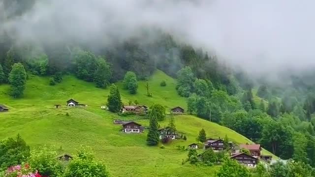 Would you like to be in this beautiful nature now?