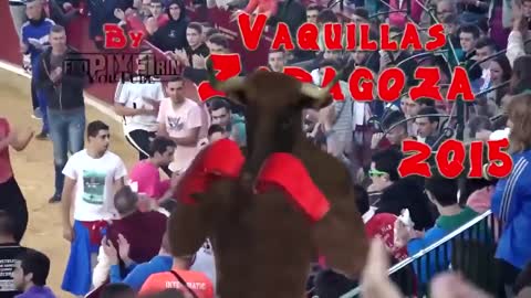 Bull fight accidents compilation 2020