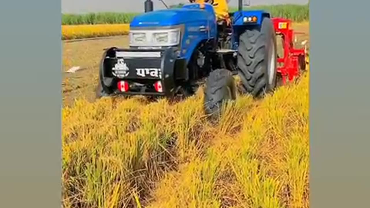 Nice video 📸