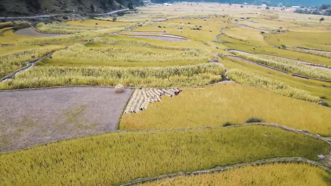 "Leepa's Unique Red Rice: Culinary Exploration in Jehlum Valley | Mission Kashmir | Ep 09"