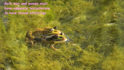 FUGGLY RELATIONSHIP FACTS!!