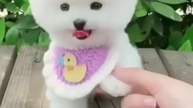 AWWWW Cutest Baby Dog Video.....#shorts