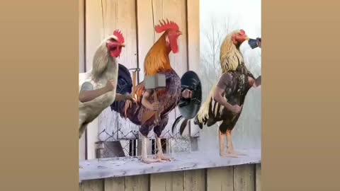 Chicken Avengers