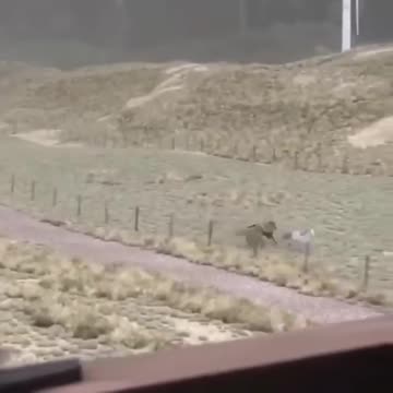 Windmill gone bad, Green energy