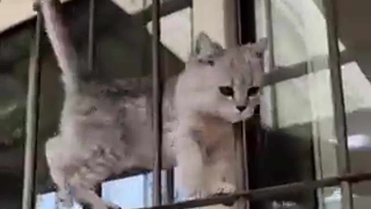 Name This Move