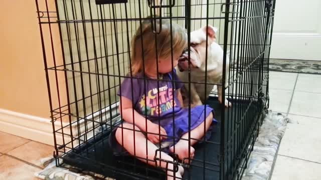 Dogs Babysitting Babies funny moments _ Quazishahporan1_ (1080P_HD).mp4