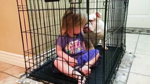 Dogs Babysitting Babies funny moments _ Quazishahporan1_ (1080P_HD).mp4