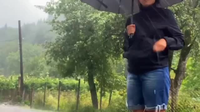 Beautiful Nature. Beautiful Rain 🌧️