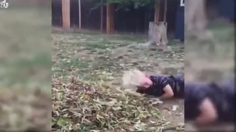 Fun moments of animals-1