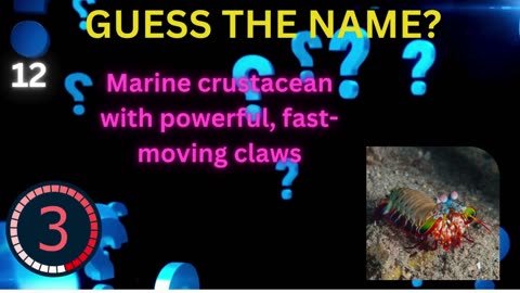 #Family Friendly Clips 🎥✨|| #Guess the animal name🎥✨||#unmasking