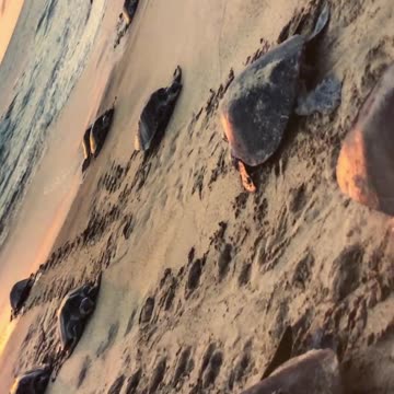 When a photo comes alive 😍