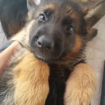 how to Look at the beautiful face