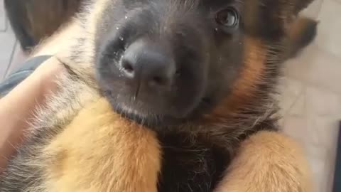 how to Look at the beautiful face