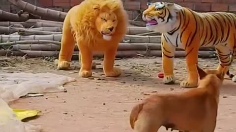 Troll Prank Dog Funny & fake Lion and Fake Tiger