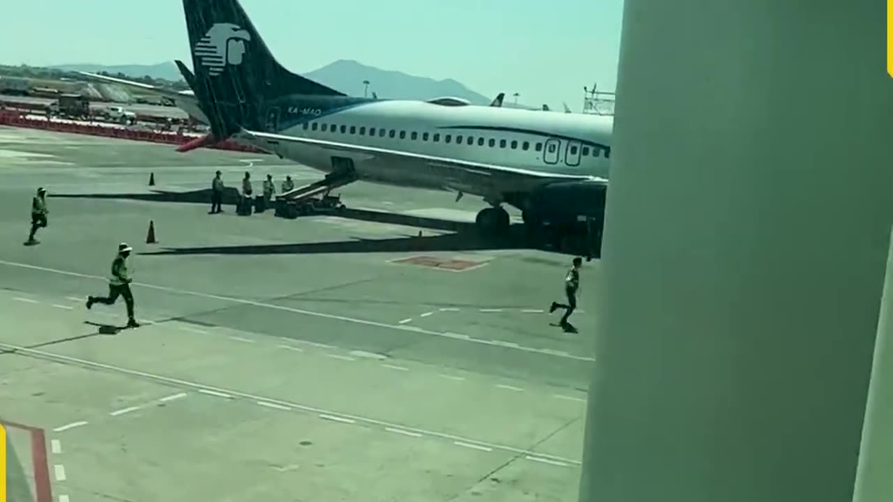 When_a_Pup_Puts_the__Run__in_Runway!(1080p)