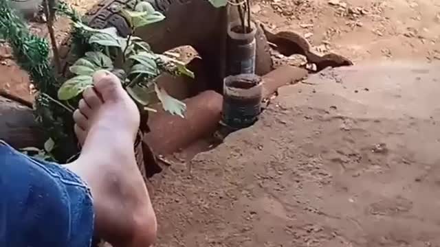 𝐈 𝐟𝐞𝐥𝐥 𝐡𝐢𝐠𝐡 𝐡𝐢𝐠𝐡 𝐡𝐢𝐠𝐡 𝐡𝐢𝐠𝐡...