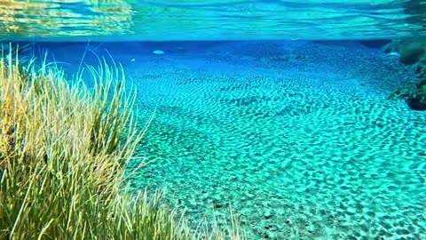 Very impressed with some of these beautiful rivers in New Zealand 🇳🇿