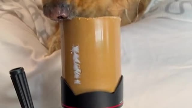 Wait for the final shot