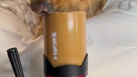 Wait for the final shot