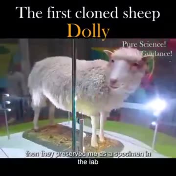 Cloning Real - Check for yourself