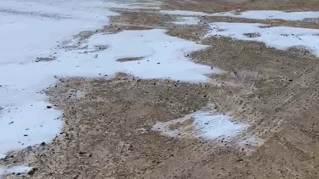 Donuts in the snow